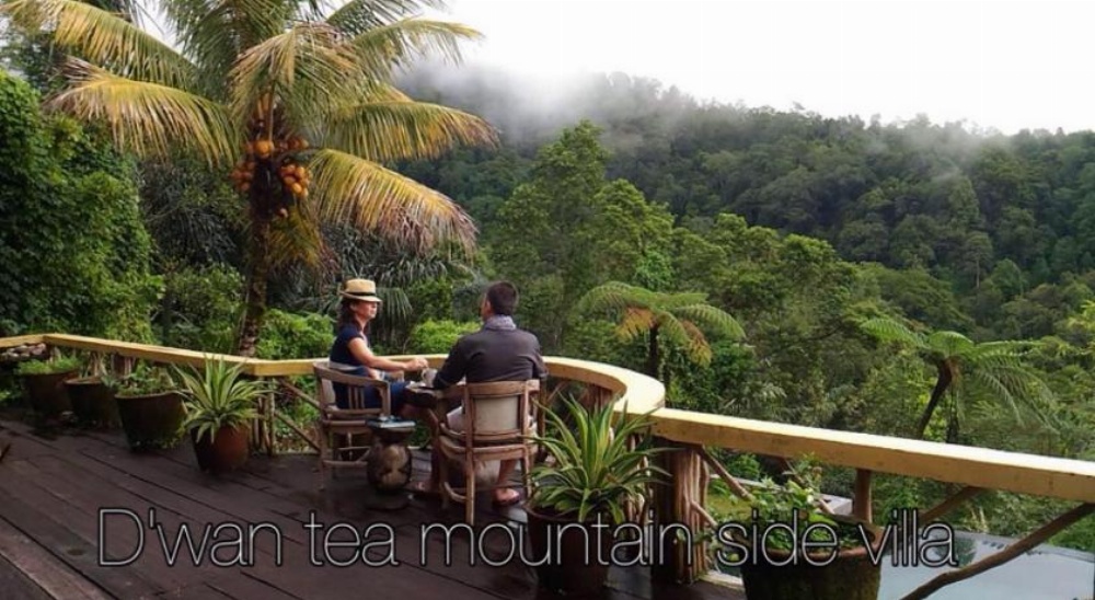 D'Wan Tea Mountain Side