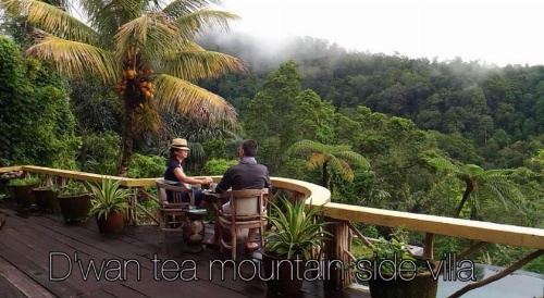 D'Wan Tea Mountain Side image 8