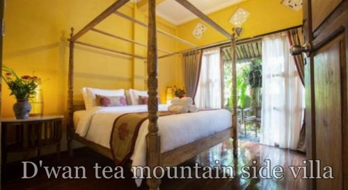D'Wan Tea Mountain Side image 34